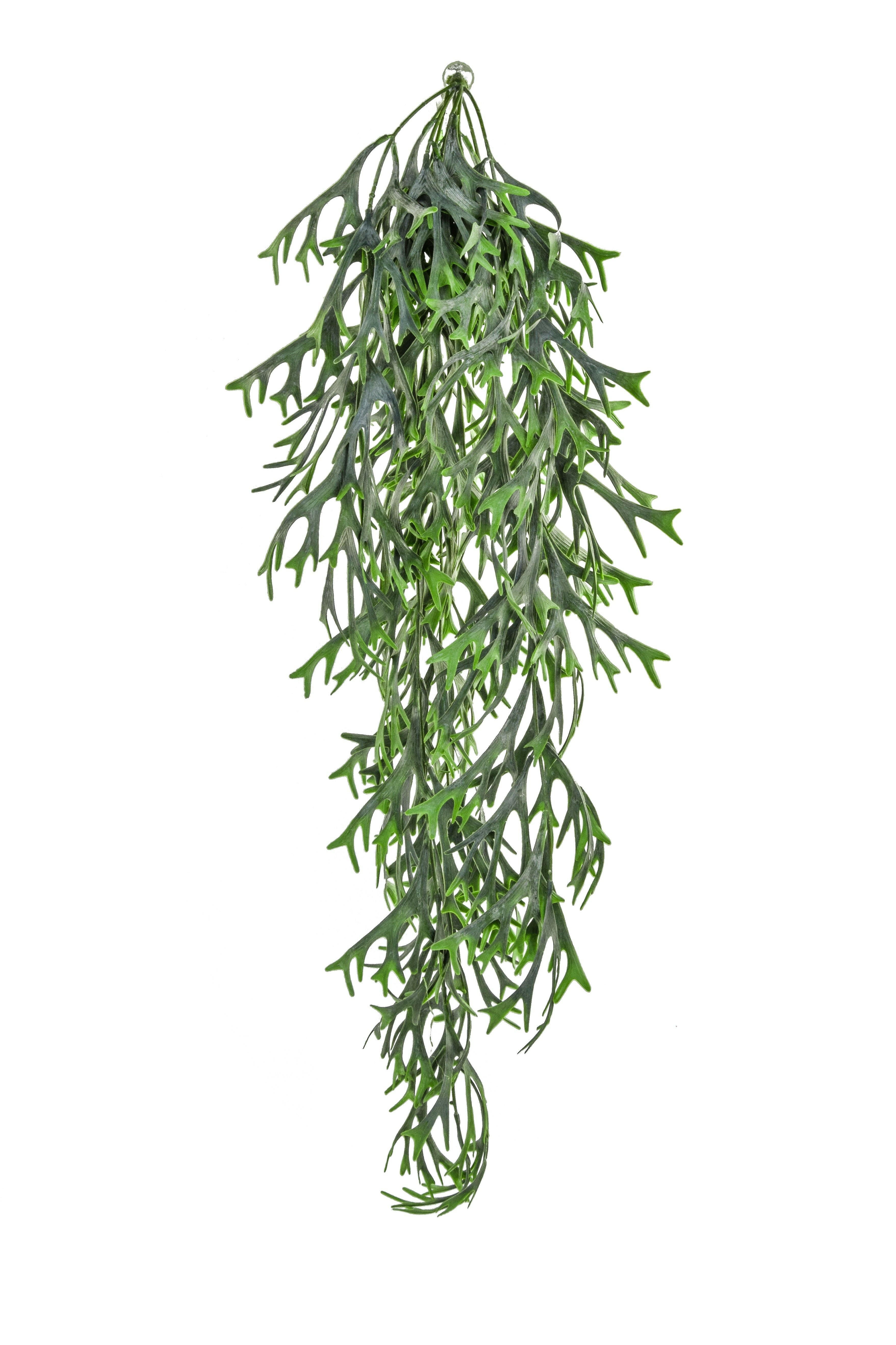 Artificial Staghorn Hanging Trail UV FR