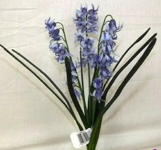 Silk Bluebell Bush