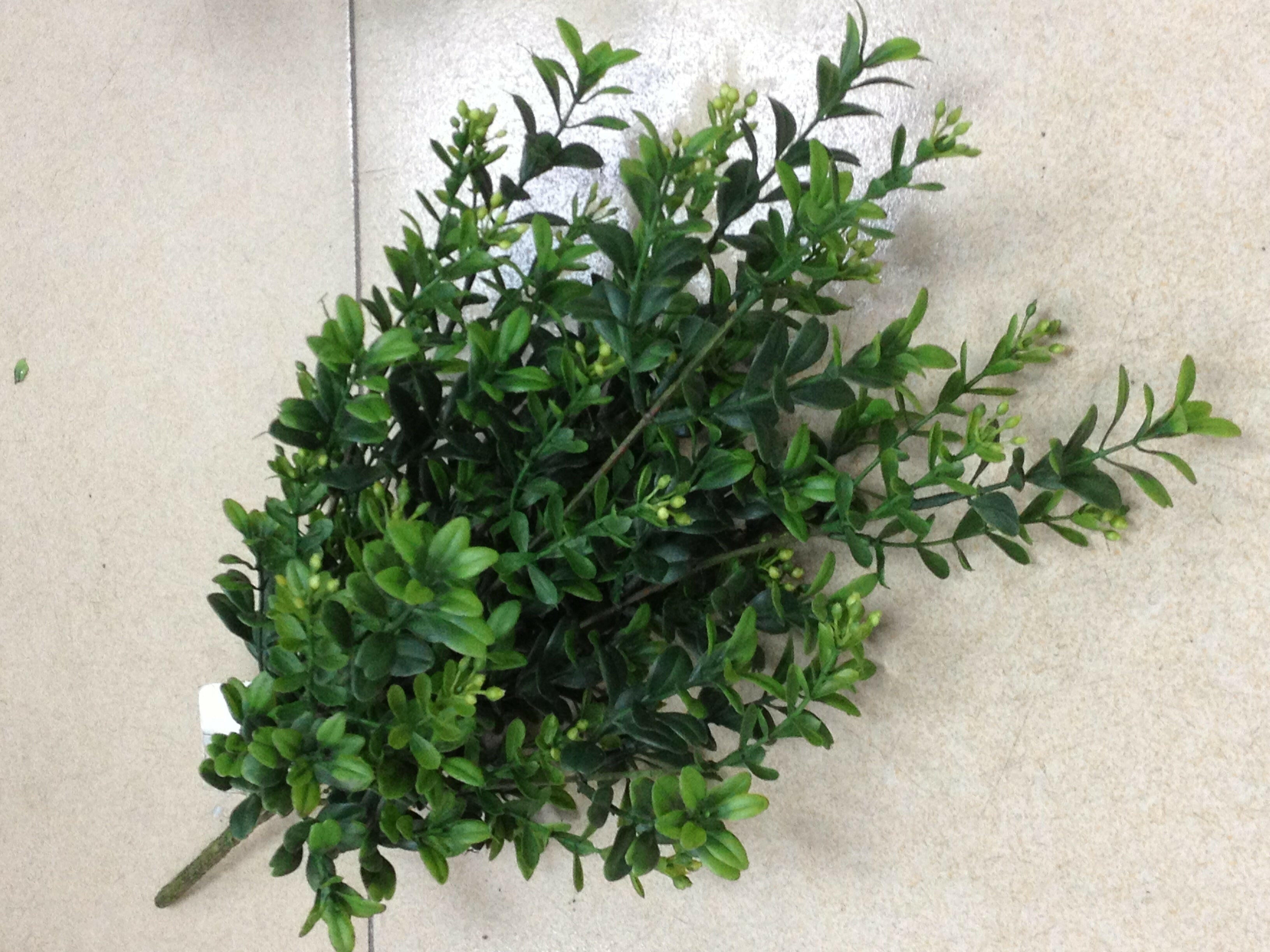 Artificial Boxwood Bush UV
