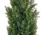 Artificial Conifer/Cedar Tree UV