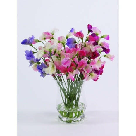 Artificial Silk Sweet Peas in Hurricane Vase