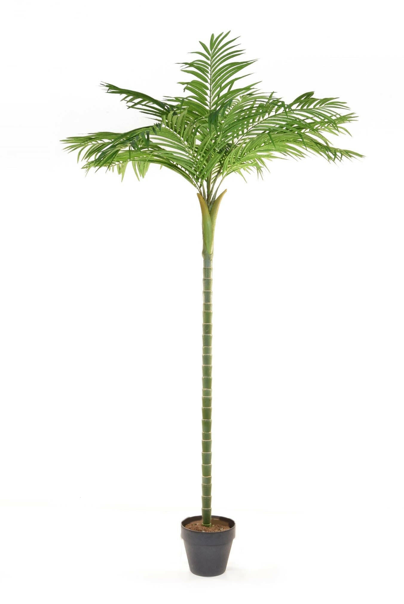 Artificial Silk Areca Single Stem Palm Tree