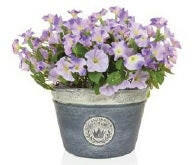 Artificial Petunias Ready Made in a Planter