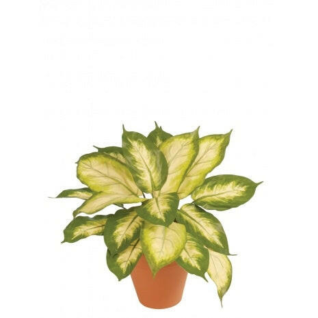Artificial Silk Dieffenbachia Plant FR
