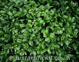 Artificial Hedging Panels Bulk Buy Saver Packs