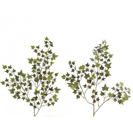 Artificial Silk Oxford Holland Ivy Spray FR
