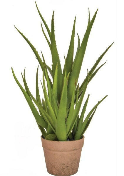 Artificial Succulent in Clay Pot