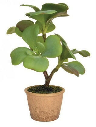 Artificial Succulent in Clay Pot