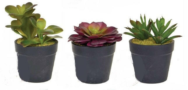 Artificial Succulent Display in Clay Pot