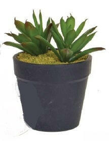 Artificial Succulent Display in Clay Pot