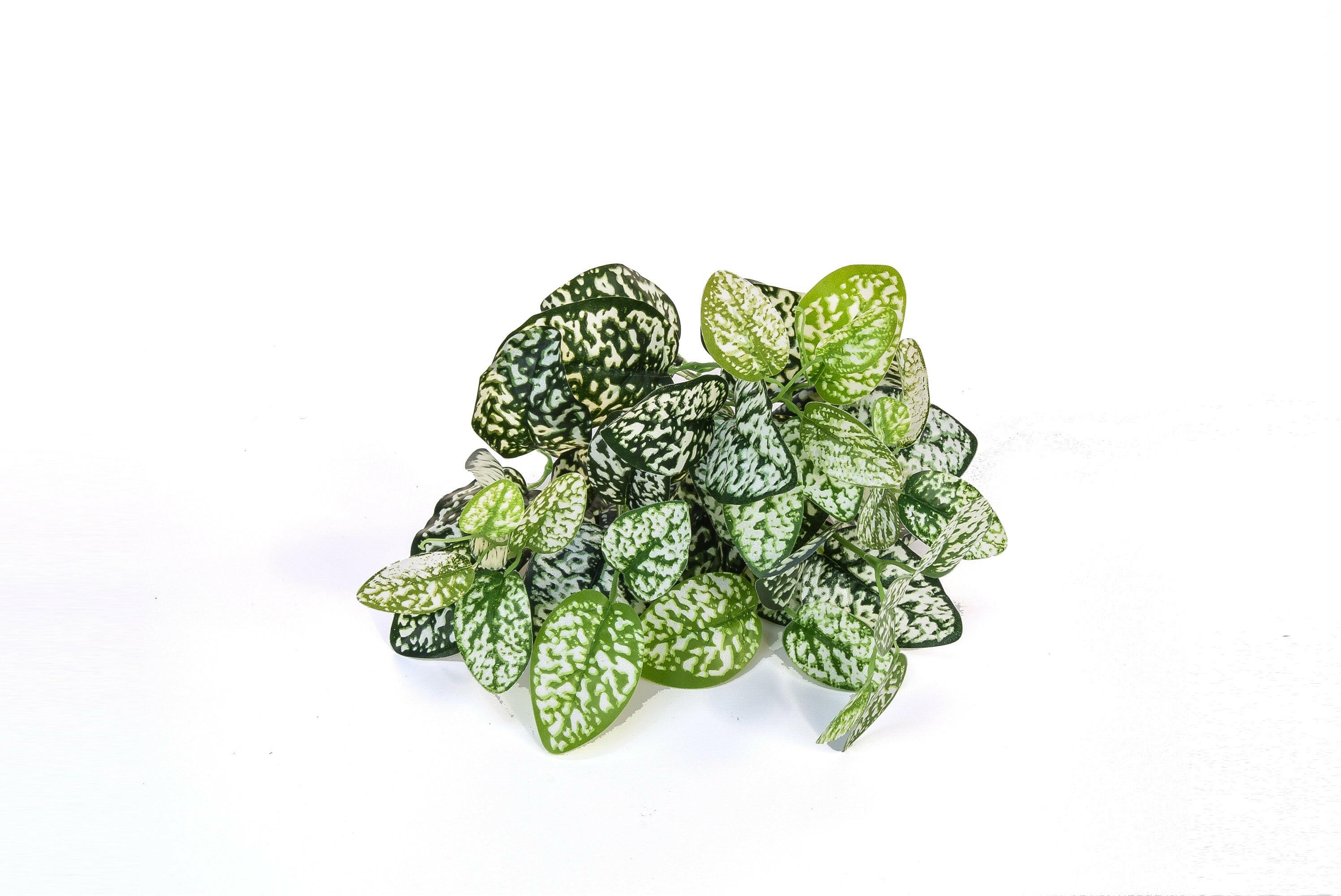 Artificial Green Wall System - Japonica UV