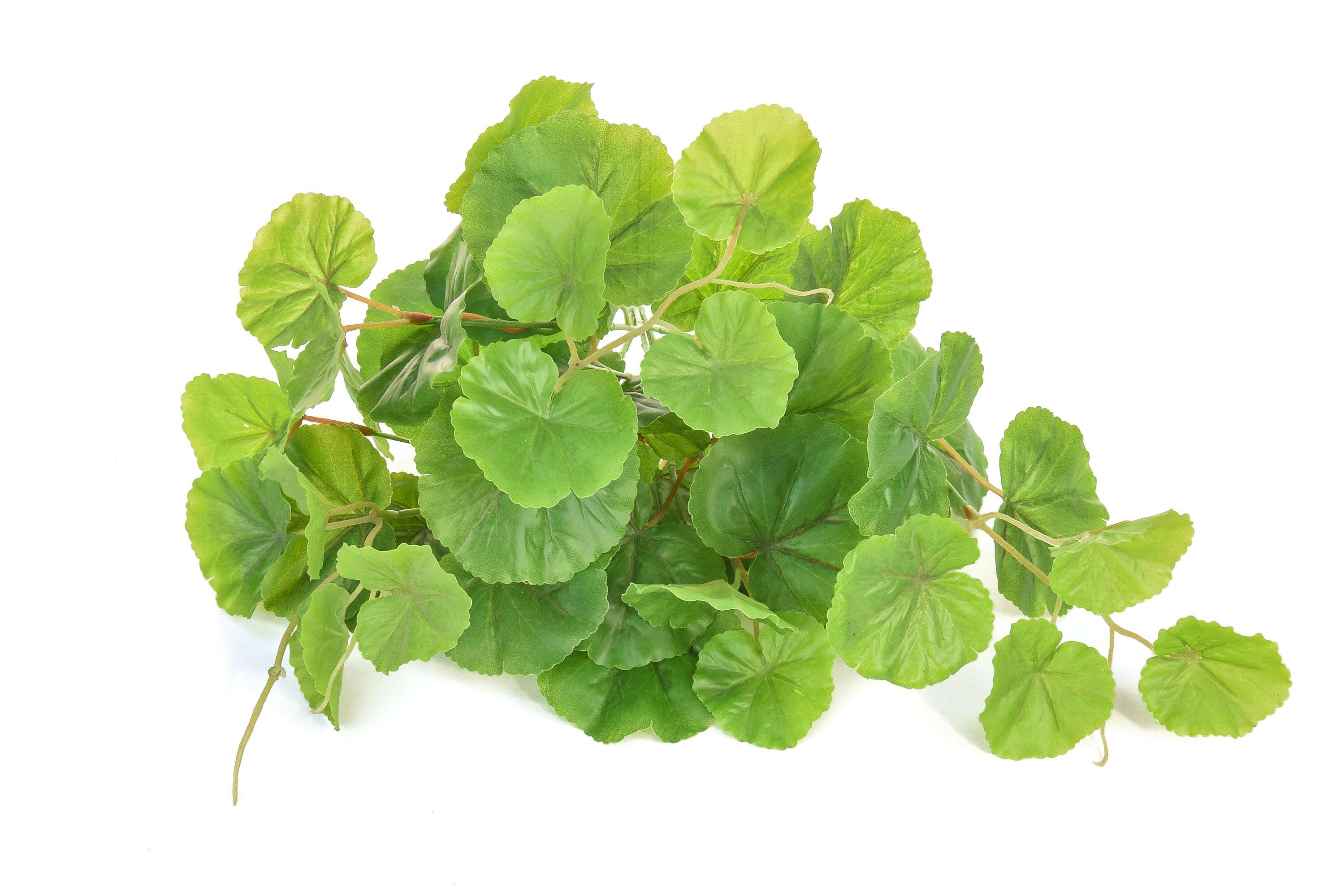 Artificial Green Wall System - Malus Leaf