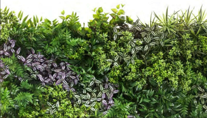 An example of Green Wall foliage attached to the Green Wall backing Panel