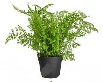 Part of our artificial fern 3 pack set