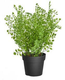 Part of our artificial fern 3 pack set