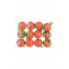 Artificial Tomatoes in a bag