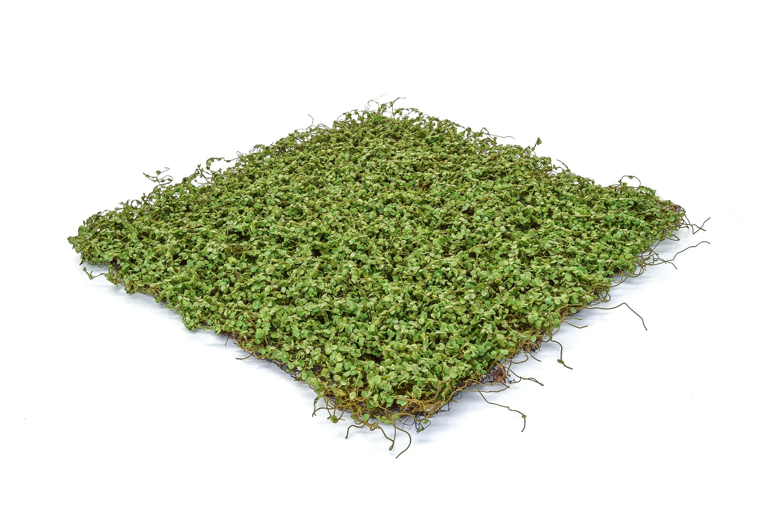 Showing the Artificial Moss Panel as sold