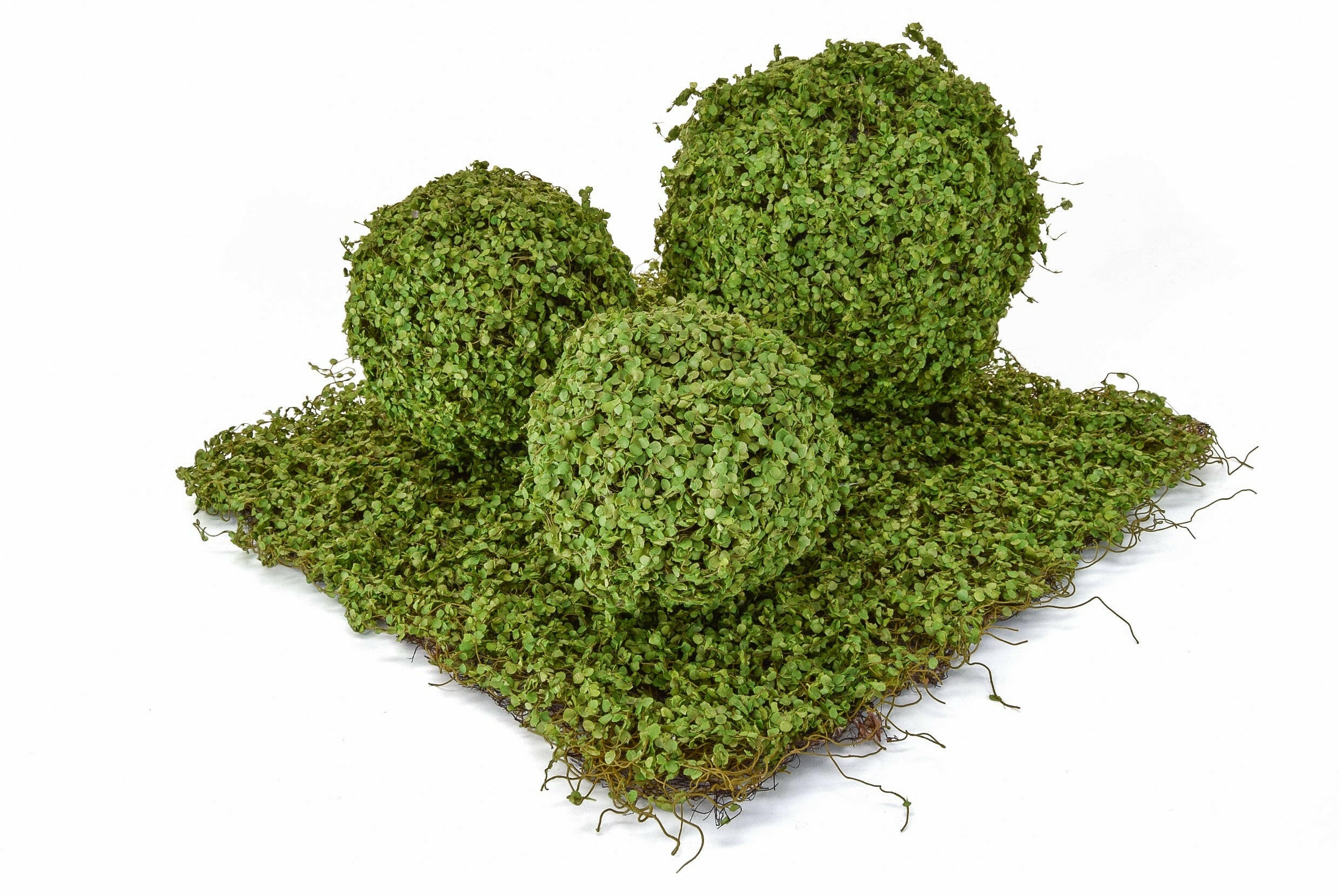 Showing the complimenting Artificial Moss Balls with the Panel