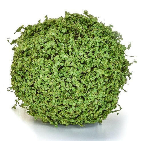 Artificial Topiary Moss/Twig Ball