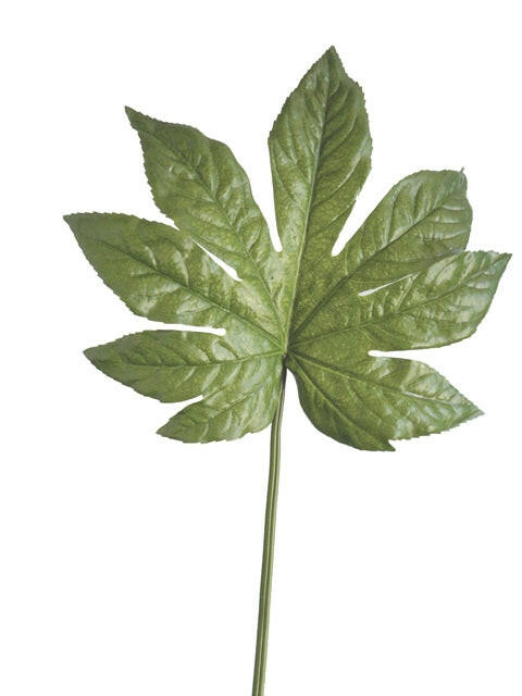 Artificial Silk Fatsia Japonica Leaf x6 Saver Pack
