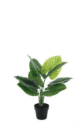 Artificial Silk Deluxe Taro Leaf Plant