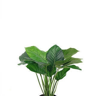 Artificial Silk Philodendron Potted Leaf Plant