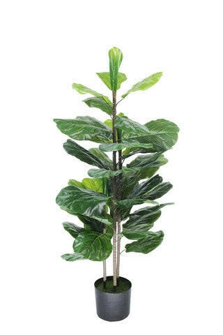 Artificial Silk Fiddle Plant