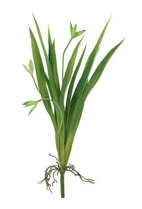 Artificial Silk Orchid Leaf Spray