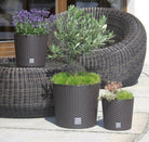 Round Tapered Rato Planter