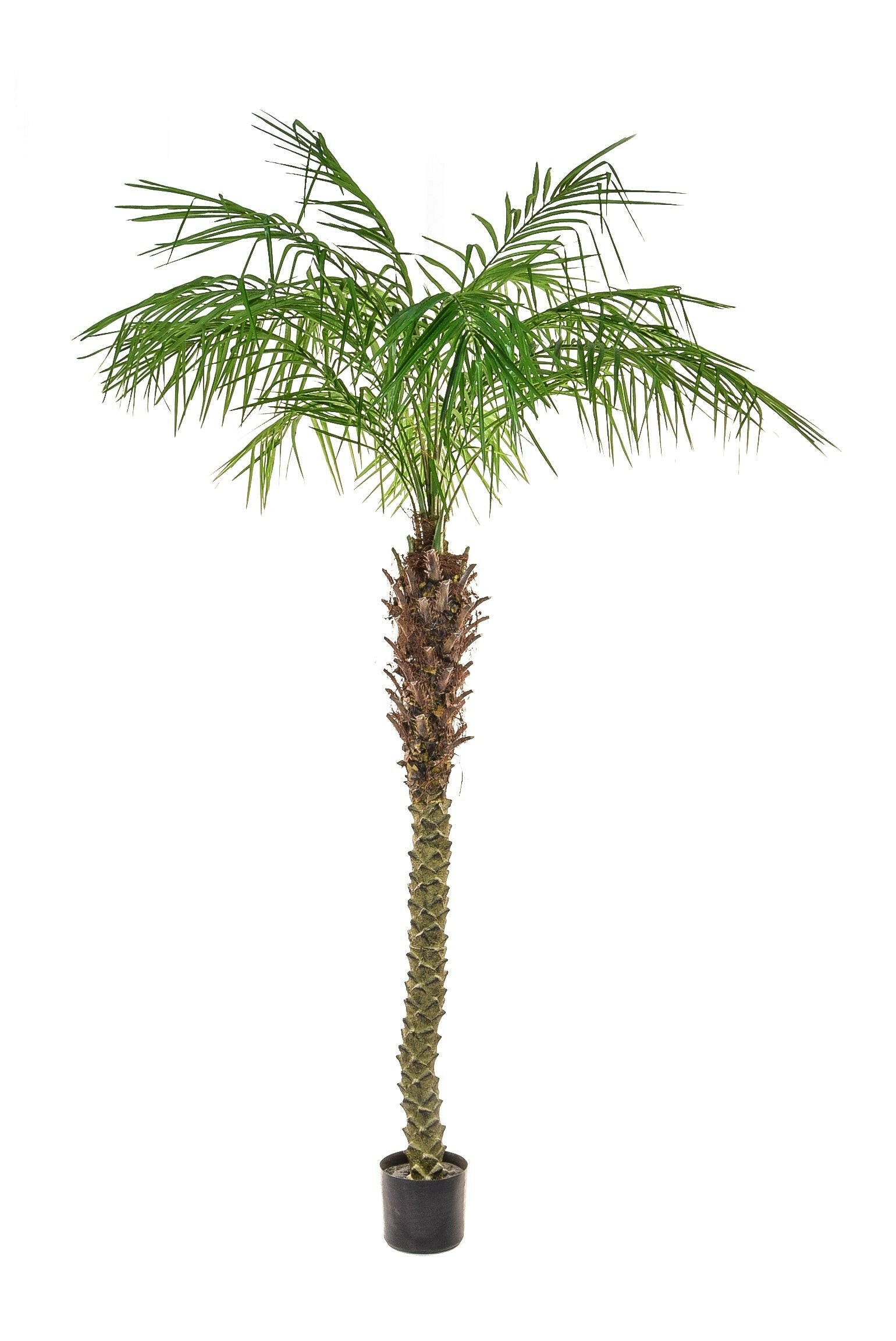 Artificial Phoenix Palm