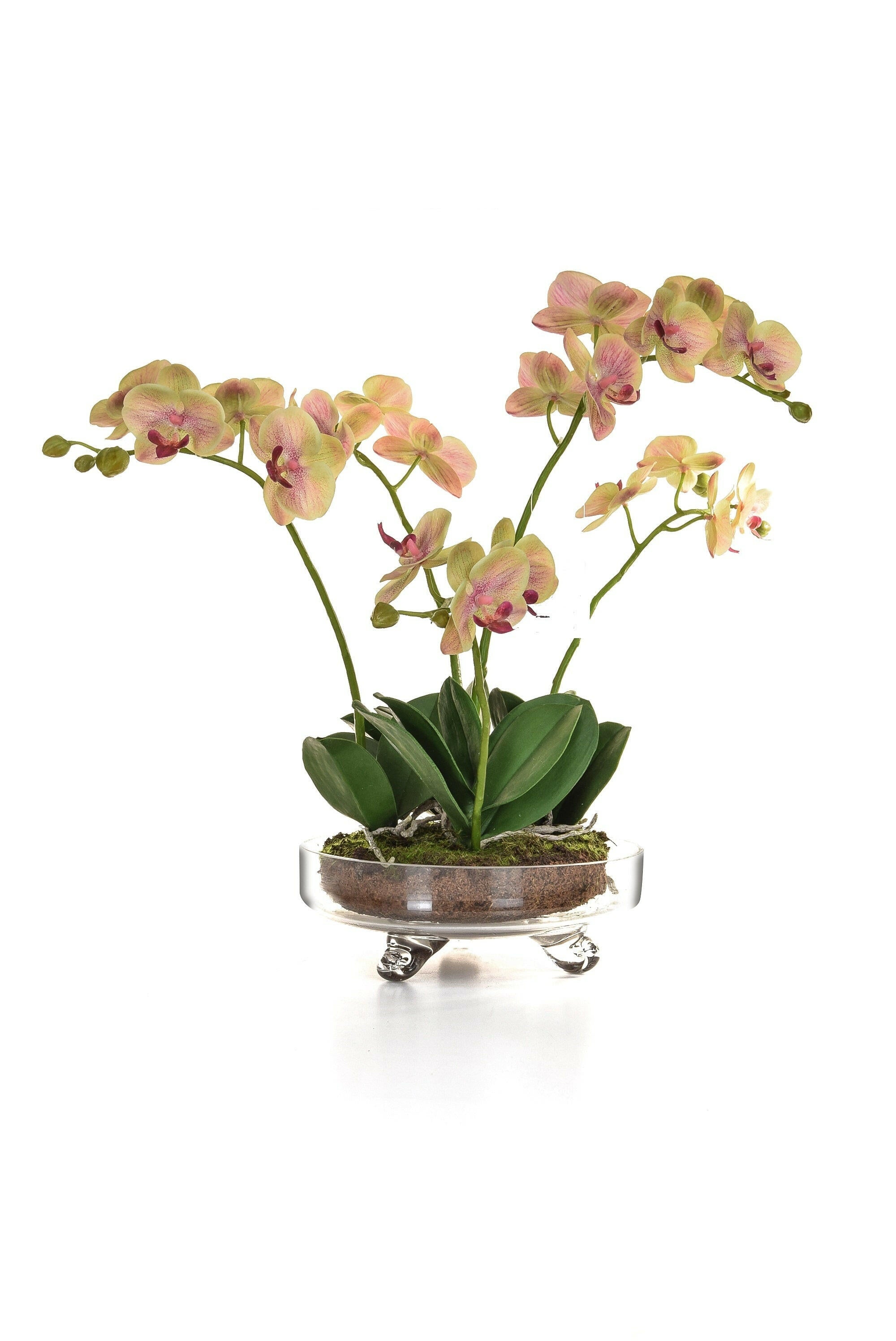 Artificial Silk Orchid potted in glass Vase