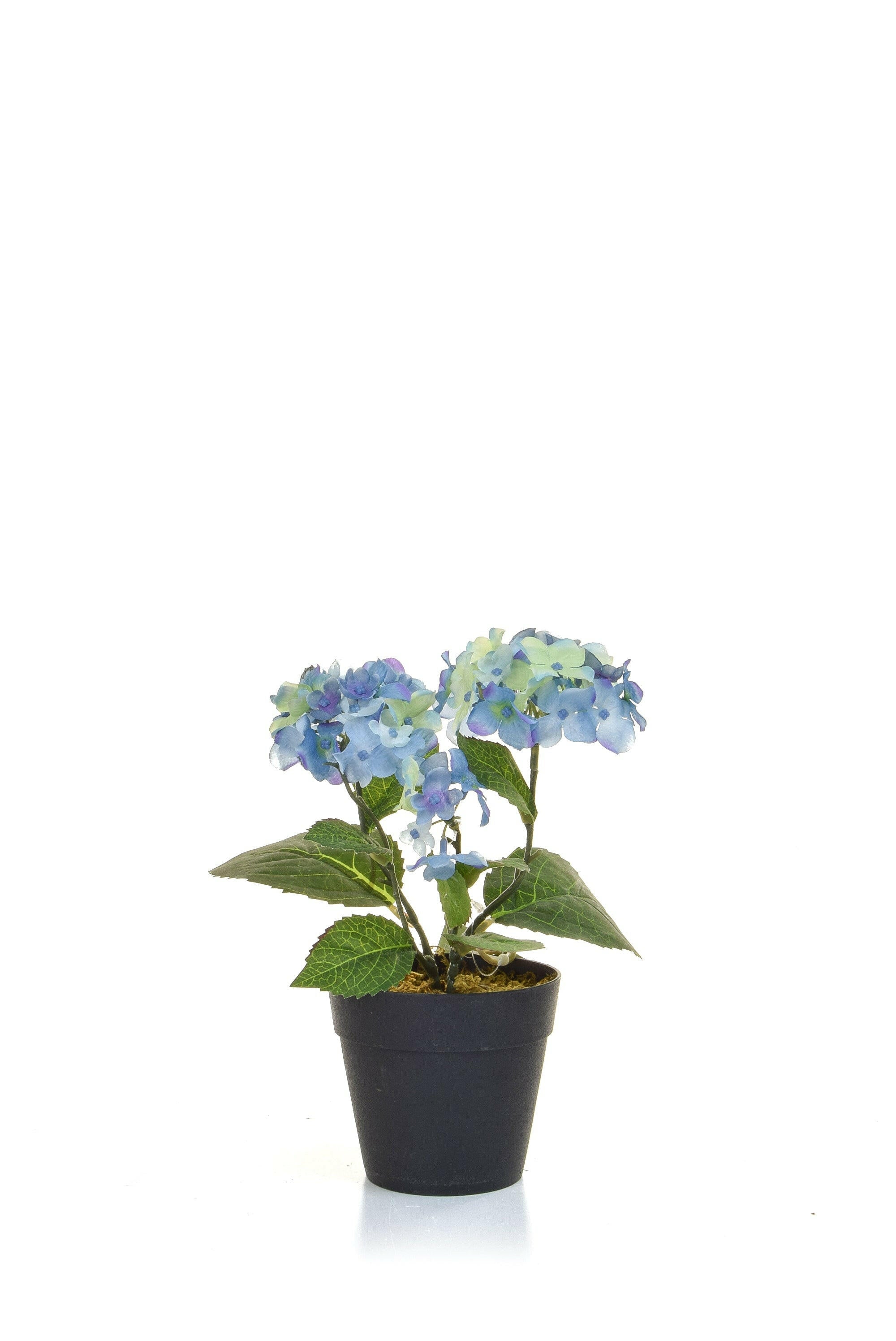 Artificial Silk Hydrangea in Black Pot