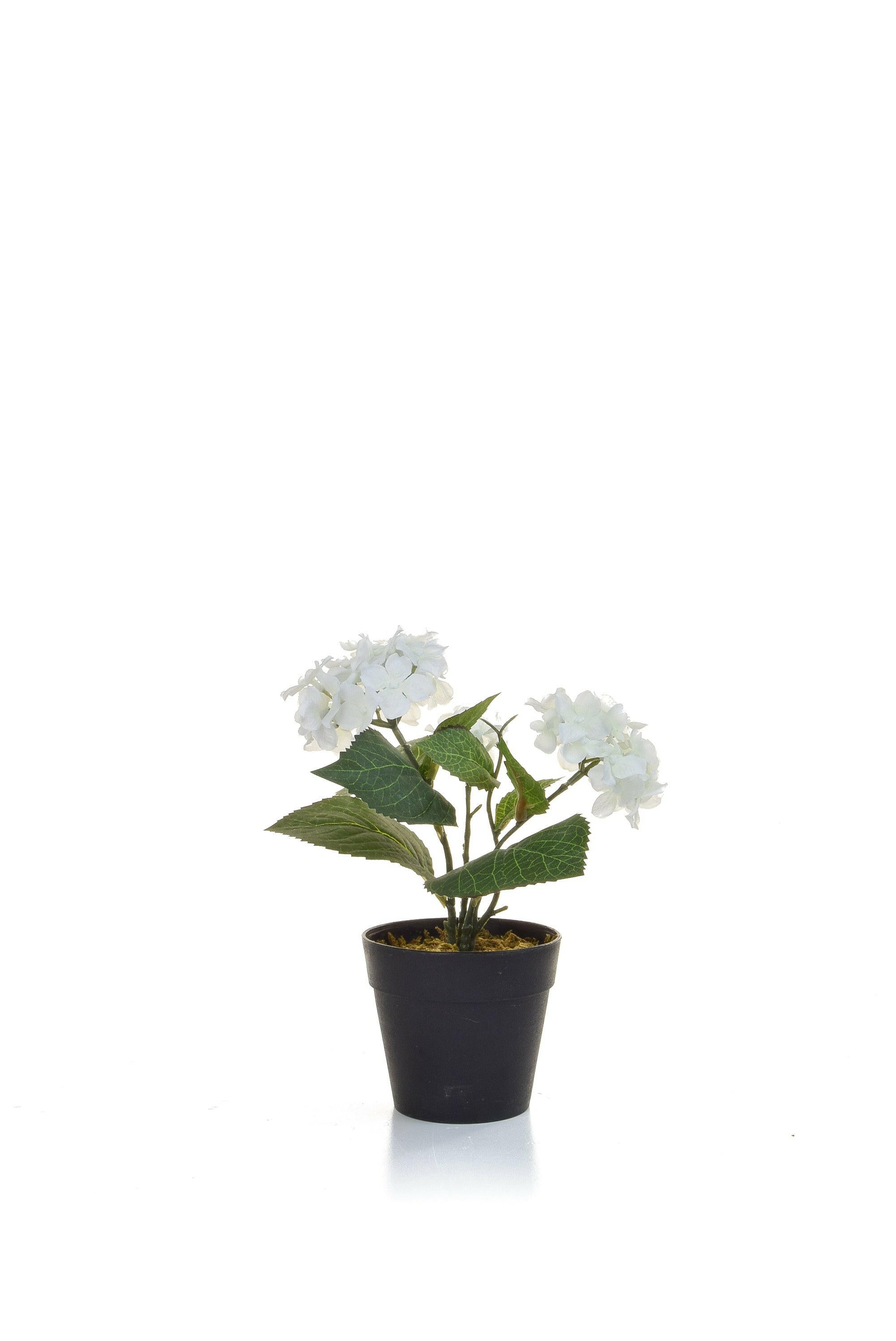 Artificial Silk Hydrangea in Black Pot
