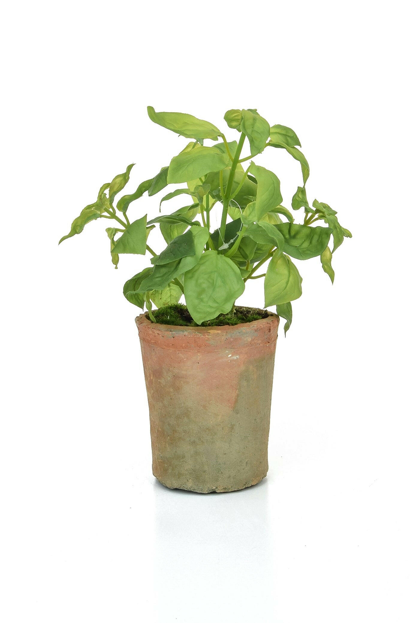 Artificial Silk Potted Herb - Basil