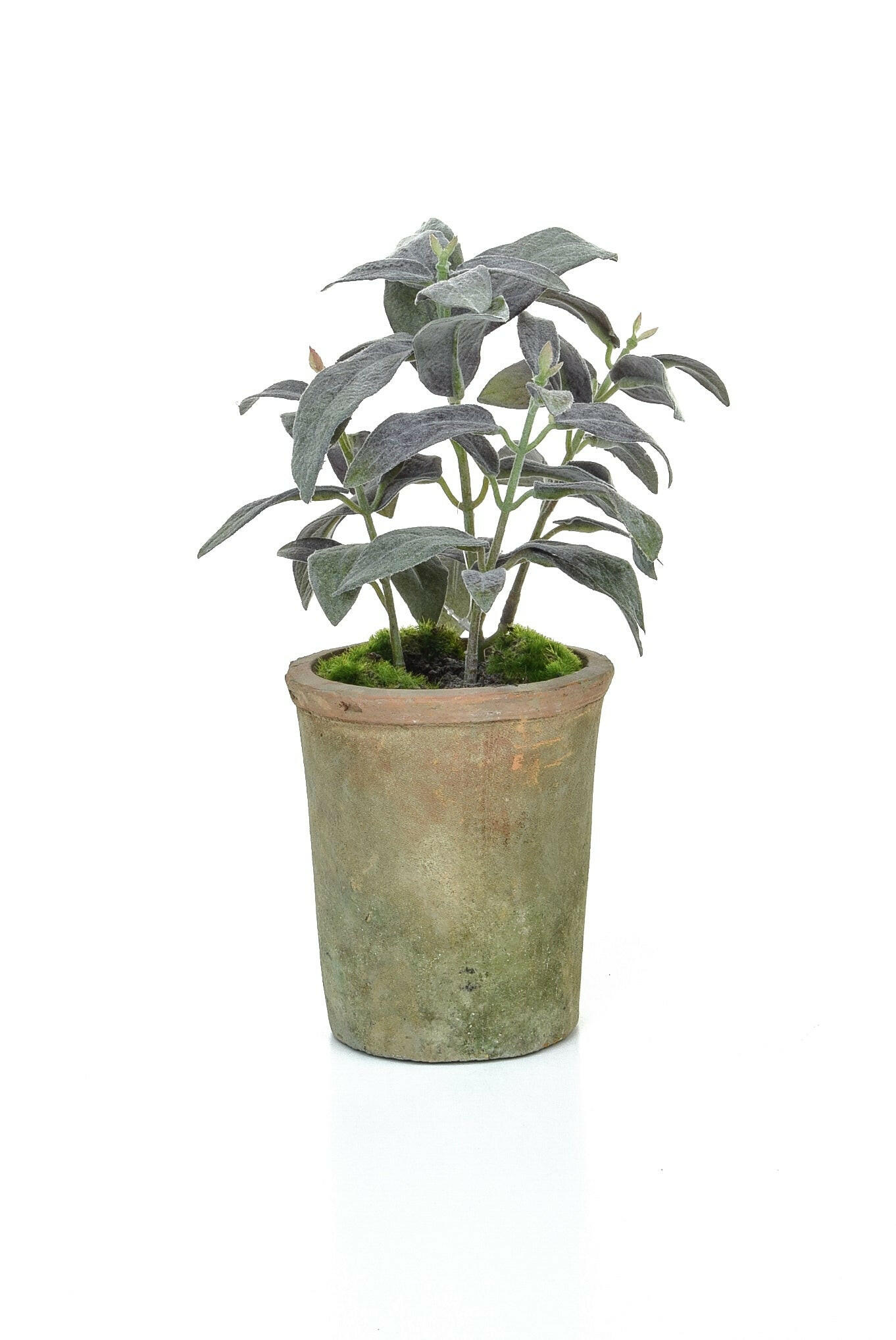 Artificial Silk Potted Herb - Sage