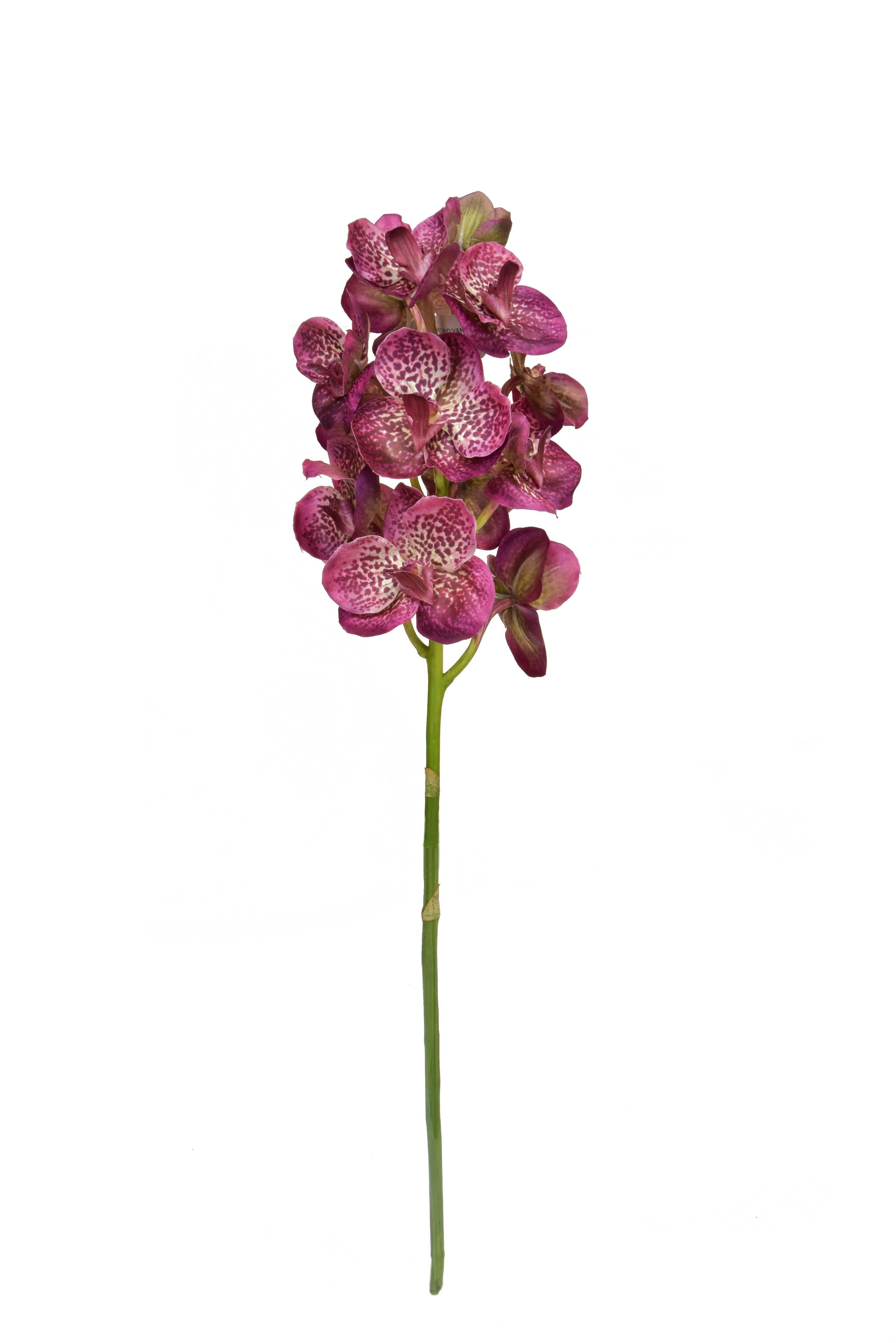 Artificial Silk Vanda Orchid