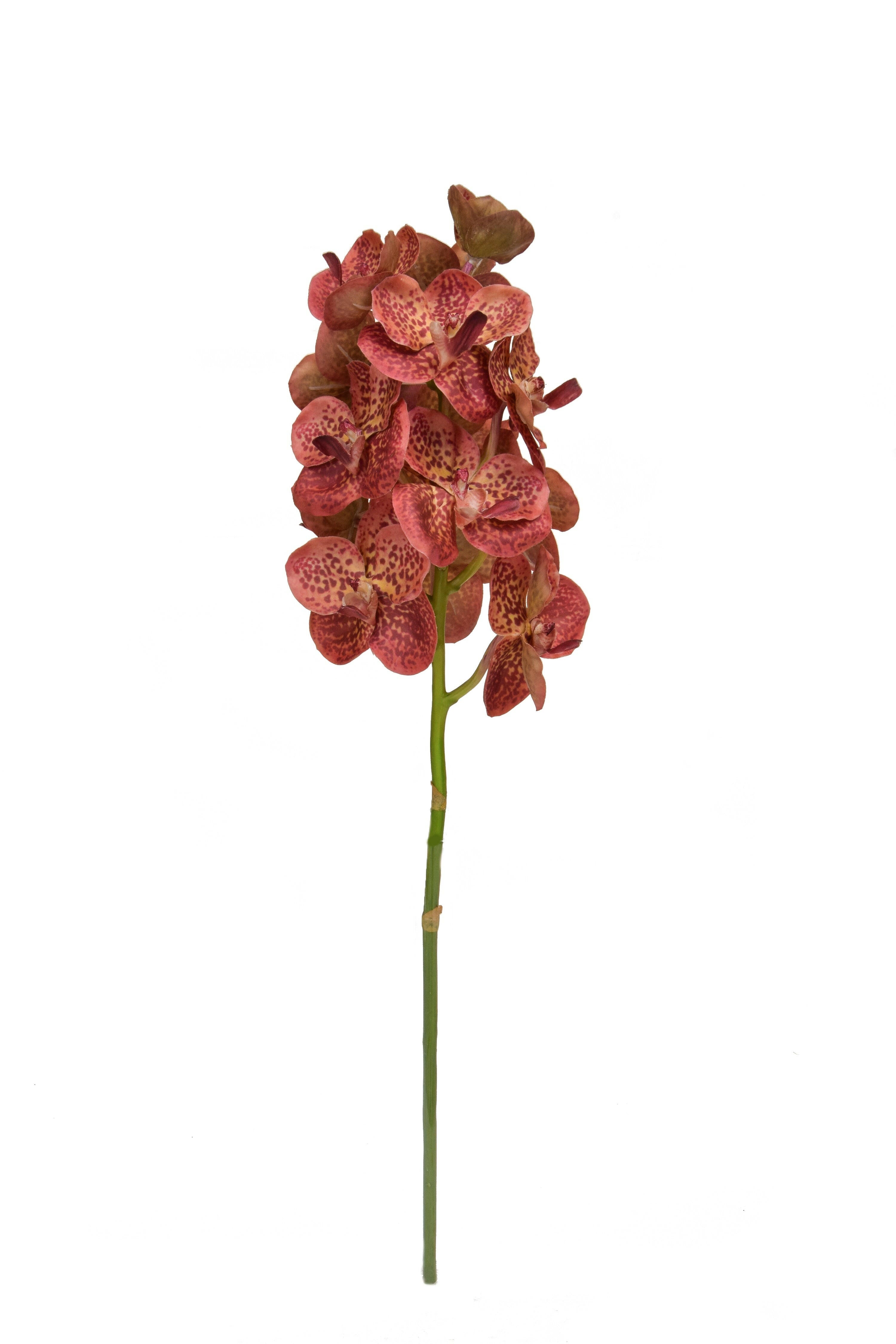 Artificial Silk Vanda Orchid