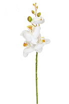 Artificial Silk Phalaenopsis, Small