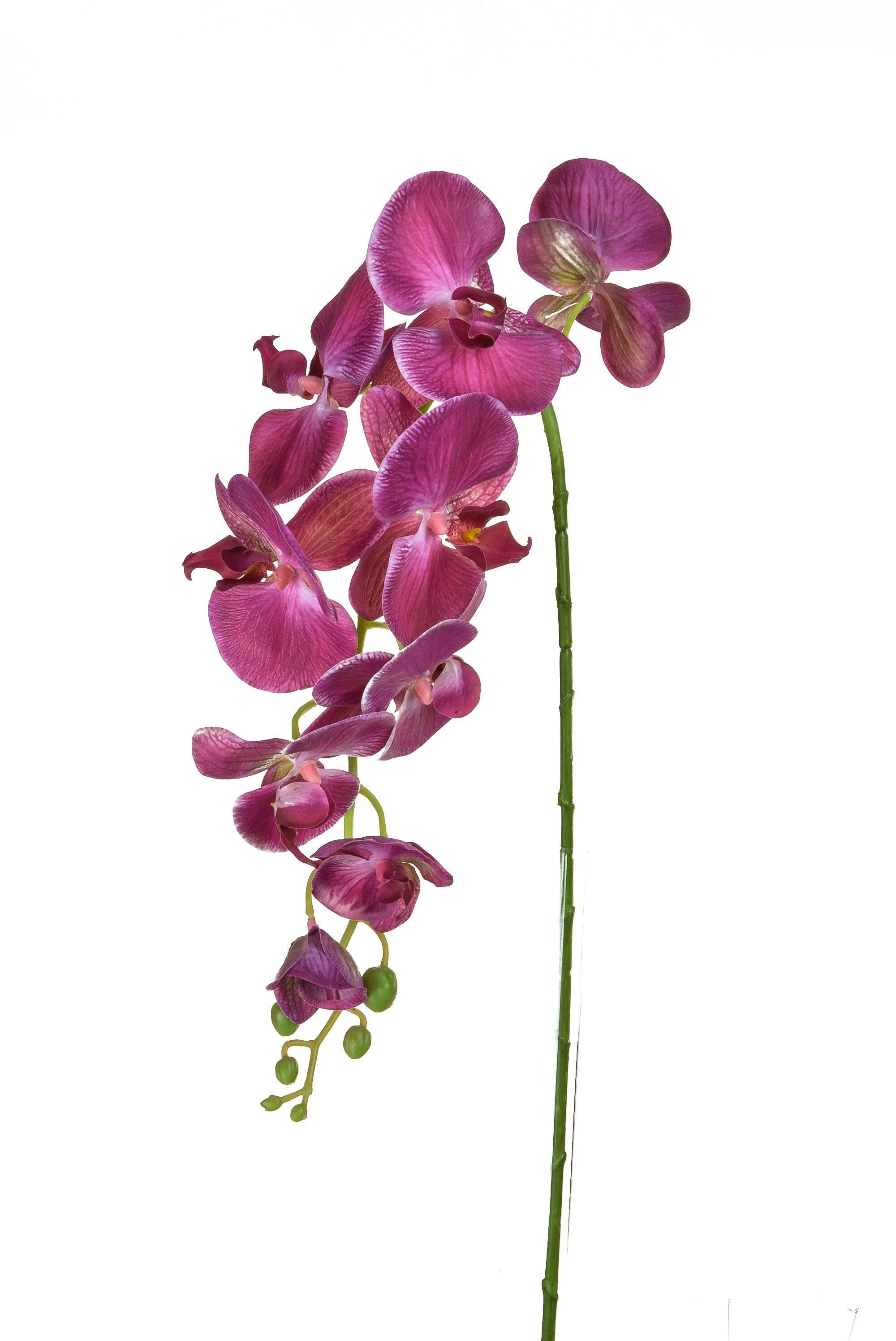 Artificial Silk Phalaenopsis, Medium