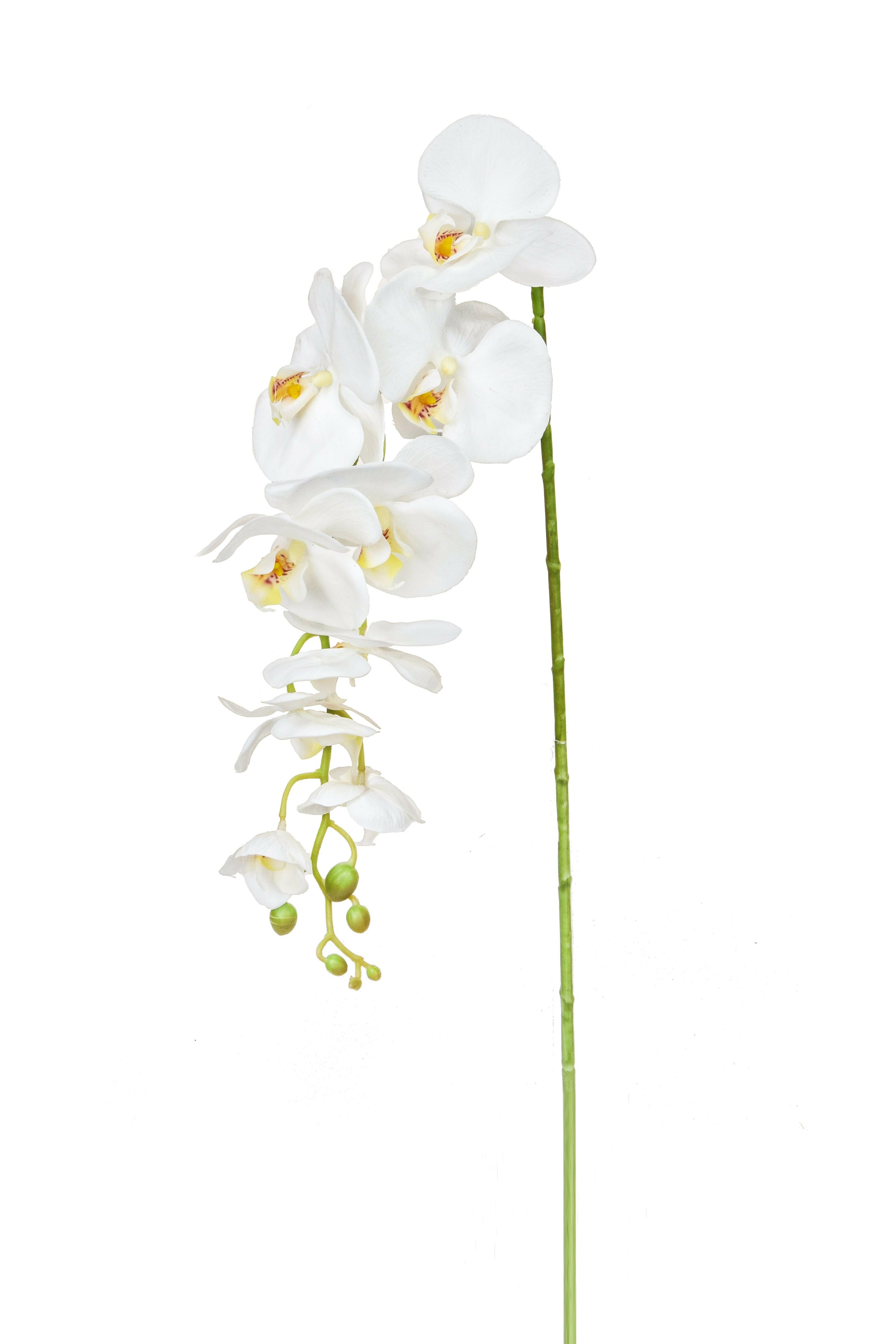 Artificial Silk Phalaenopsis, Medium