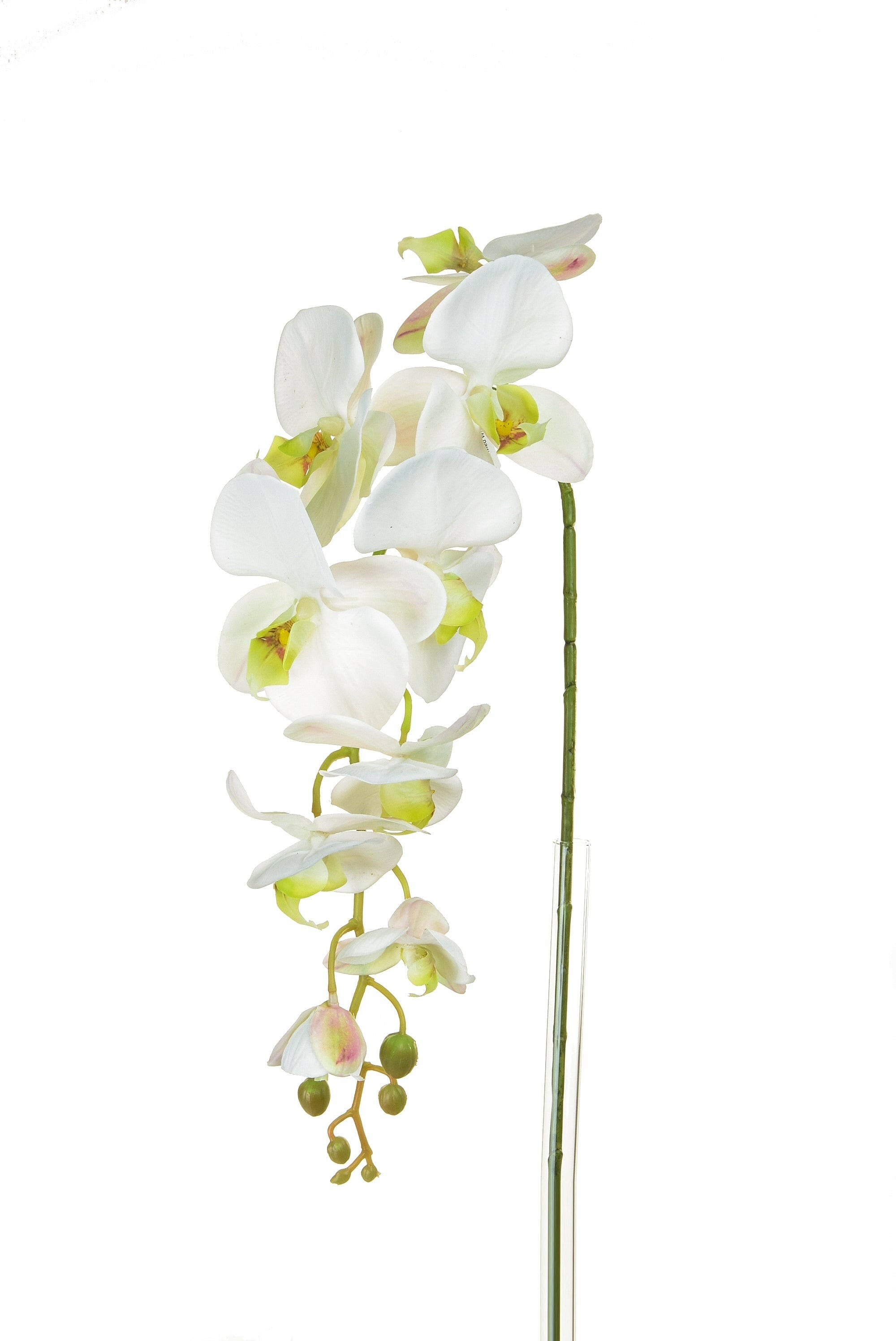 Artificial Silk Phalaenopsis, Large