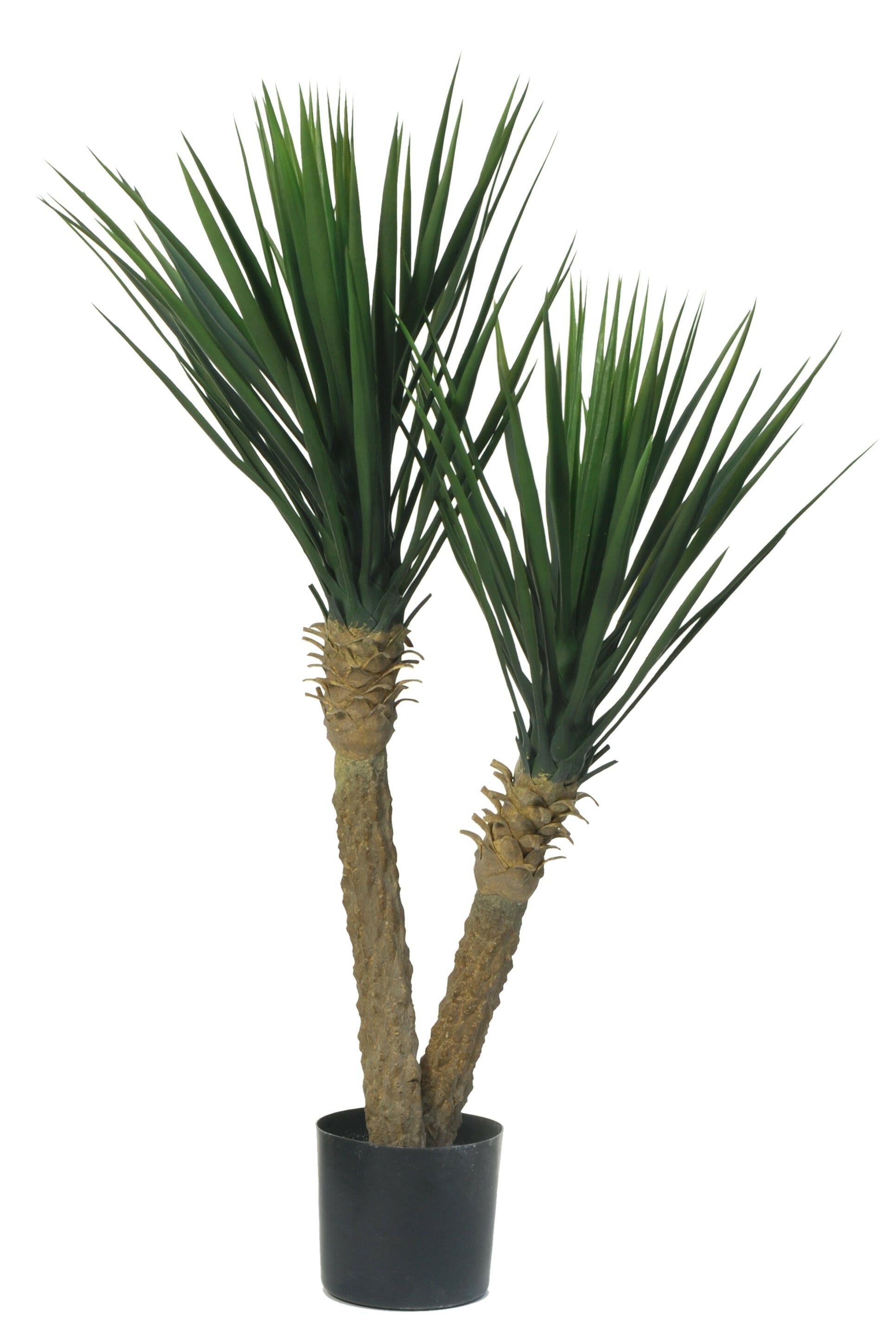 Artificial Yucca Rostrata Double Head Plants