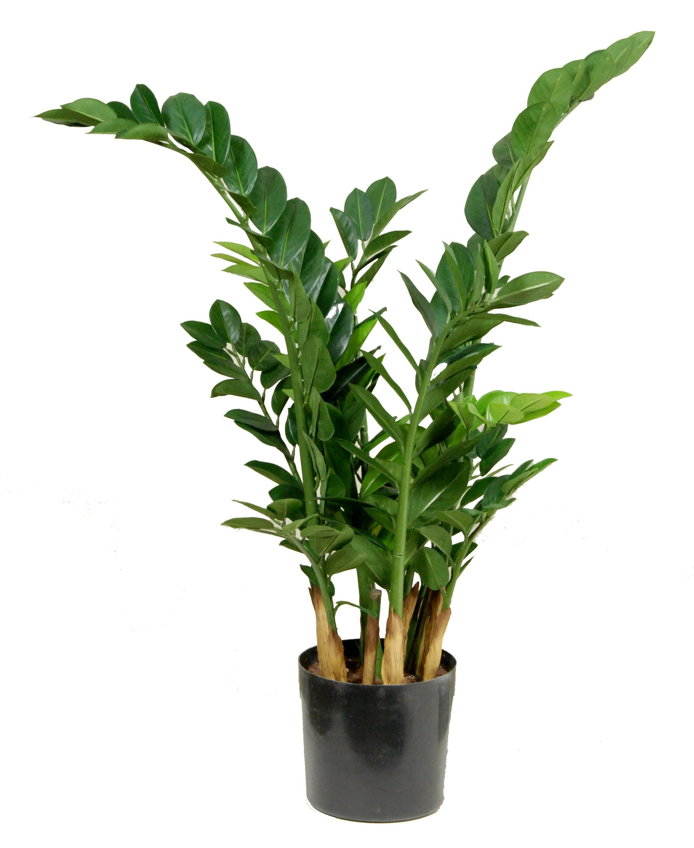 Artificial Silk Zamio Zami Tree FR