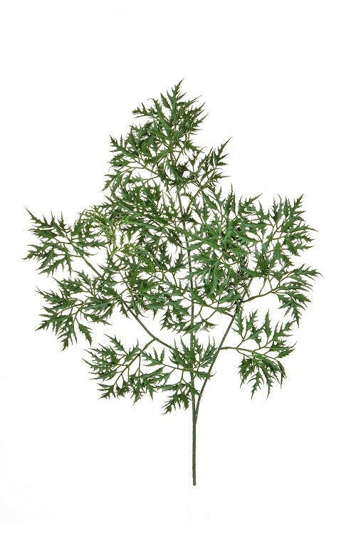 Artificial Silk Ming Aralia Spray FR