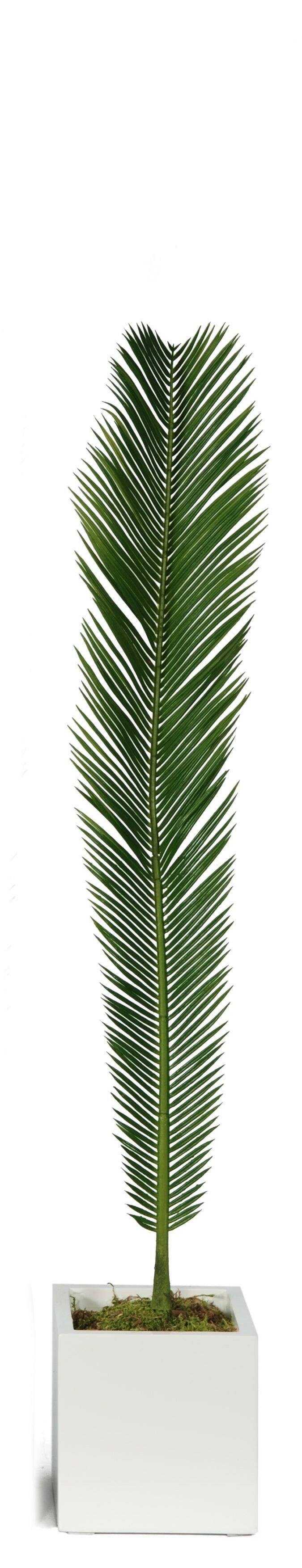 Artificial Silk Cycas Palm Leaves FR