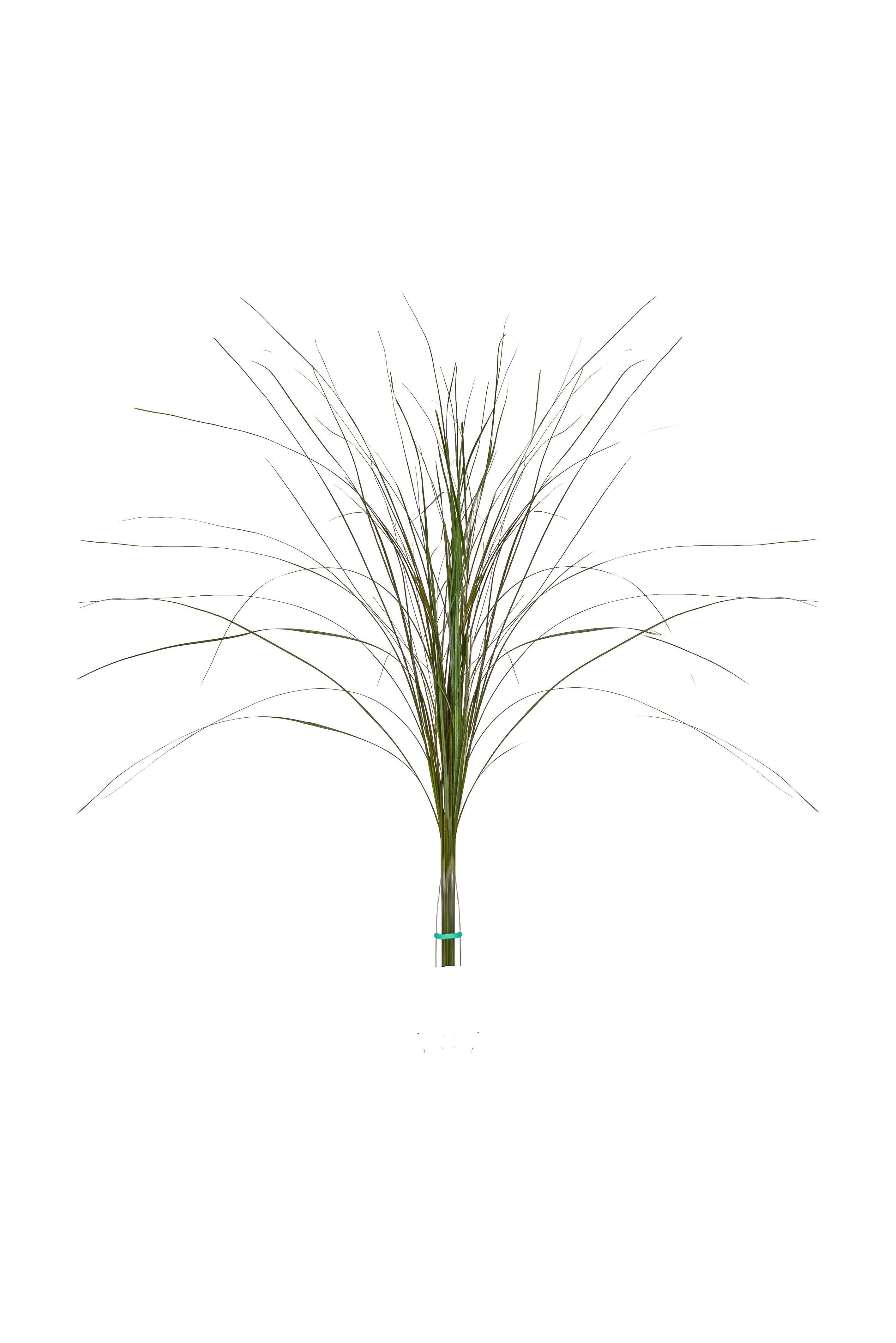 Artificial Bear Grass FR