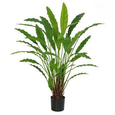 Artificial Silk Potted Calathea Plant FR