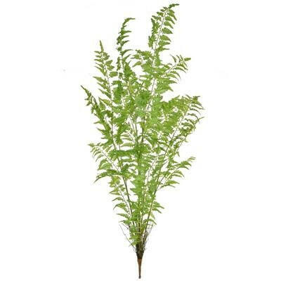 Artificial Fern Bush