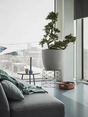 Egg Planter - Smooth