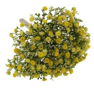 Artificial Silk Million Star Gypsophila Bundle